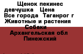 Щенок пекинес девчушка › Цена ­ 2 500 - Все города, Таганрог г. Животные и растения » Собаки   . Архангельская обл.,Пинежский 